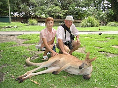 089 Port Douglas Wildlife Habitat